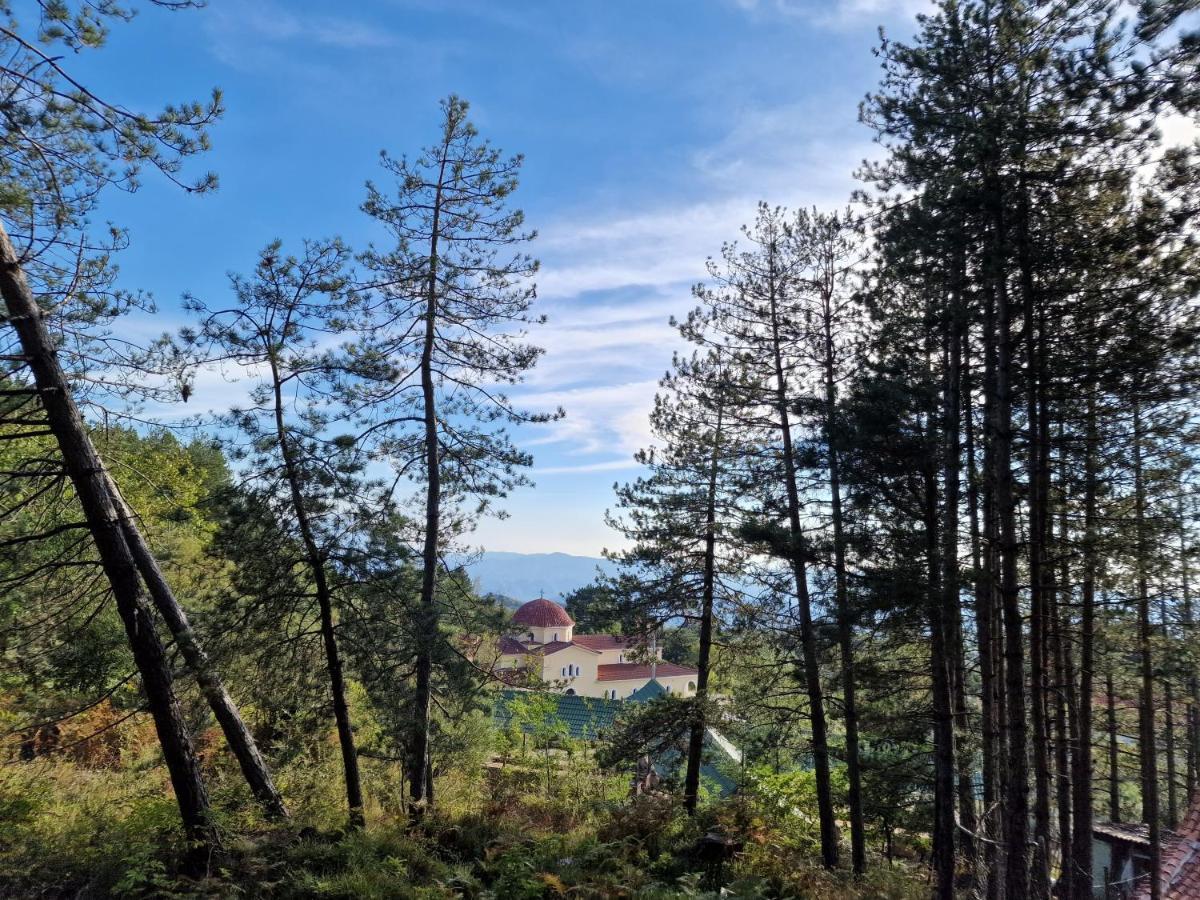 Bujtinat Skenderi Gjinar 2 Villa Buitenkant foto