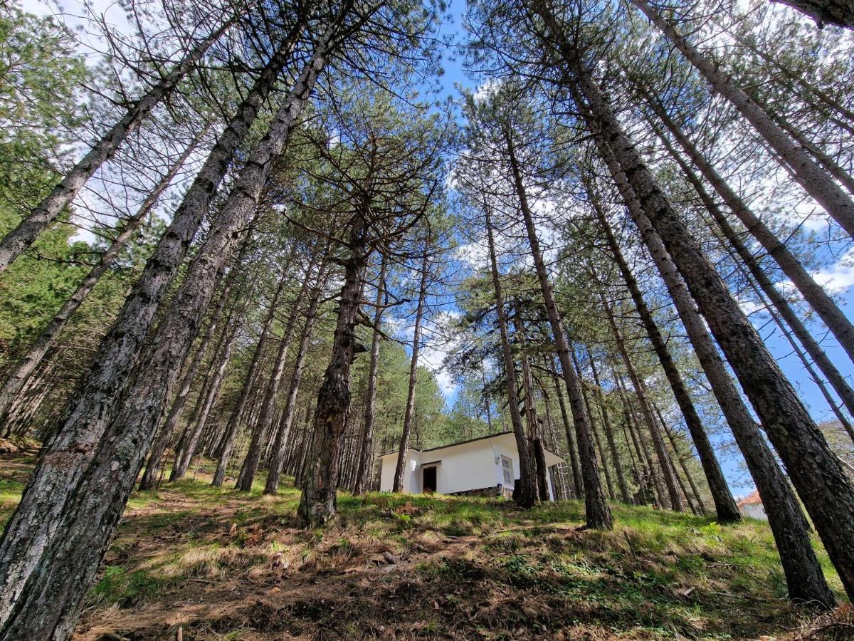 Bujtinat Skenderi Gjinar 2 Villa Buitenkant foto